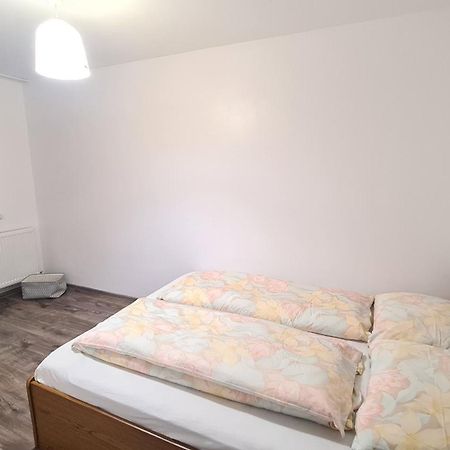 Apartament In Inima Dornei Vatra Dornei Dış mekan fotoğraf