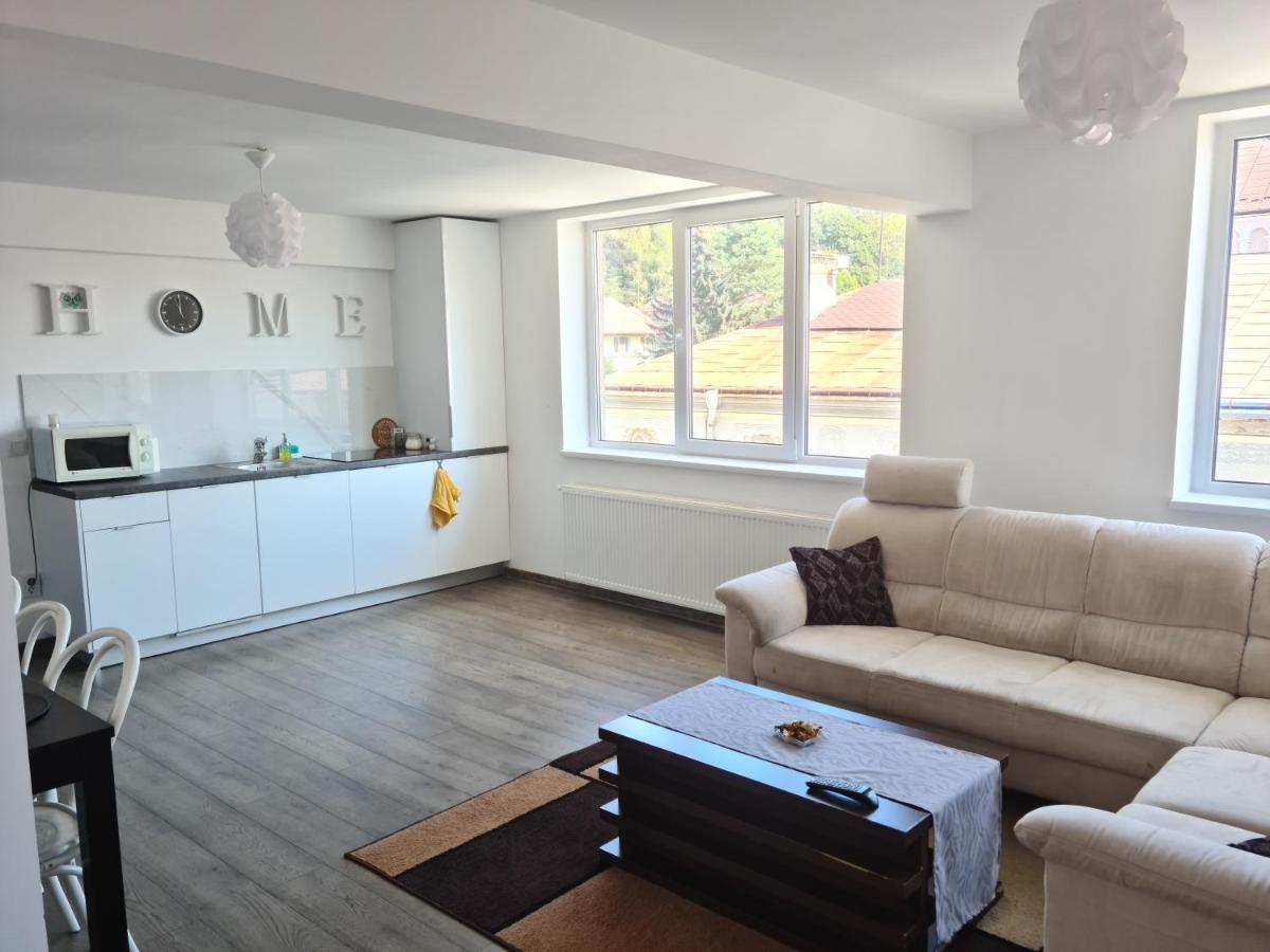 Apartament In Inima Dornei Vatra Dornei Dış mekan fotoğraf