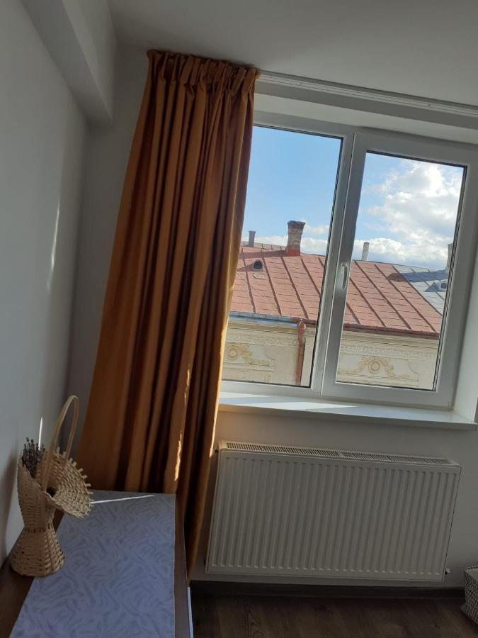 Apartament In Inima Dornei Vatra Dornei Dış mekan fotoğraf